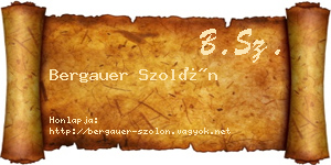 Bergauer Szolón névjegykártya